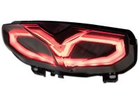 Luz trasera tintada para Yamaha MT-10 (2022-2024)